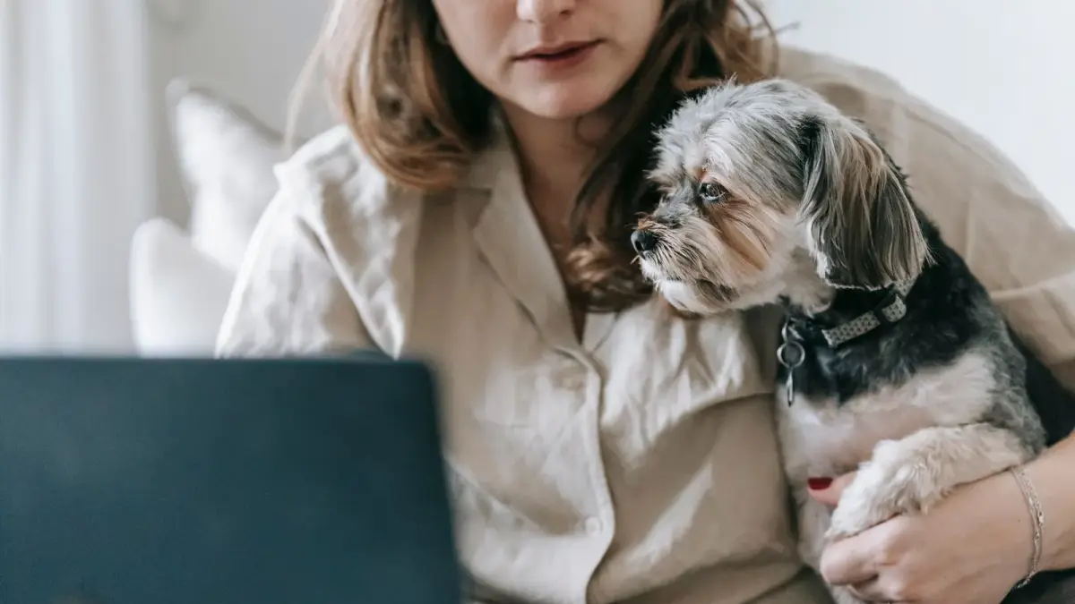 Une femme devant son ordinateur portable, un petit chien à poil long dans les bras