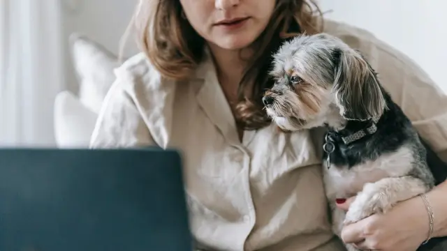 Une femme devant son ordinateur portable, un petit chien à poil long dans les bras